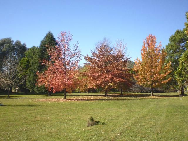 place photo 25