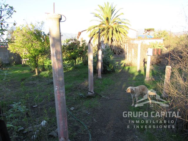 place photo 33
