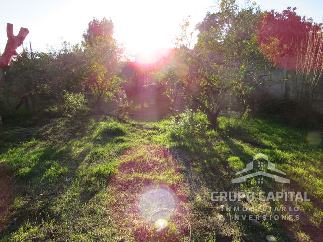 place photo 31
