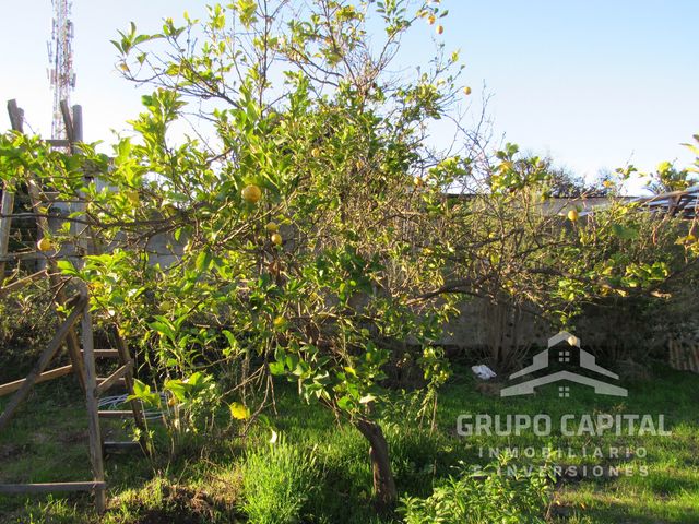 place photo 29