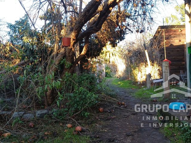place photo 20