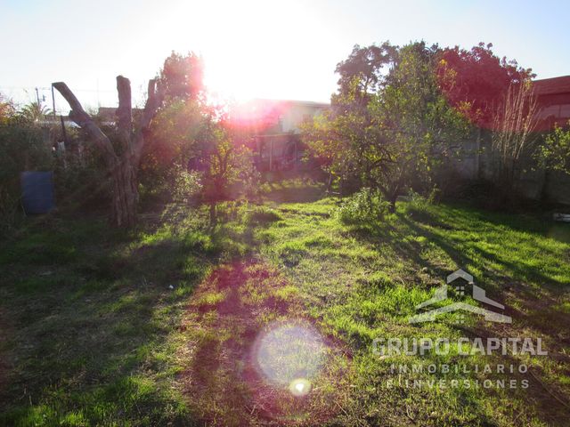place photo 24