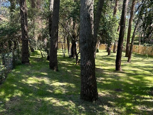place photo 44