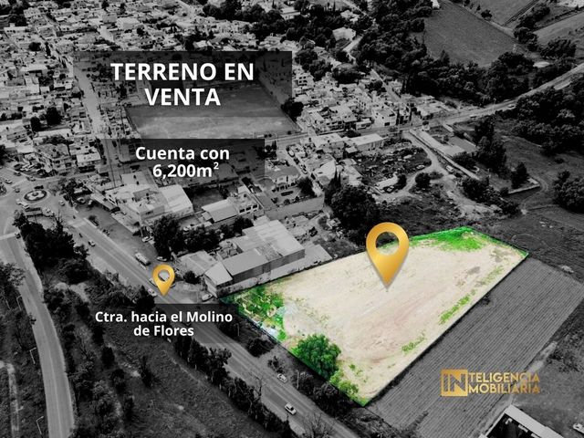place photo 18