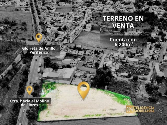 place photo 17