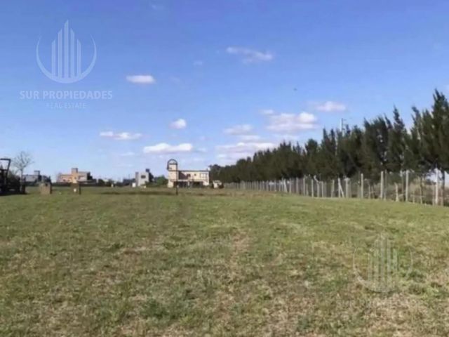 place photo 45