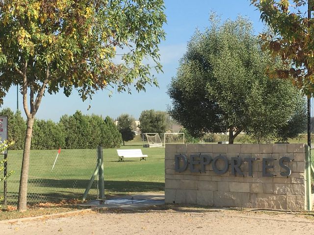 place photo 20