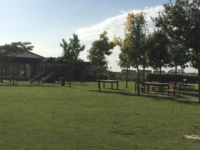 place photo 23