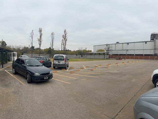 place photo 17