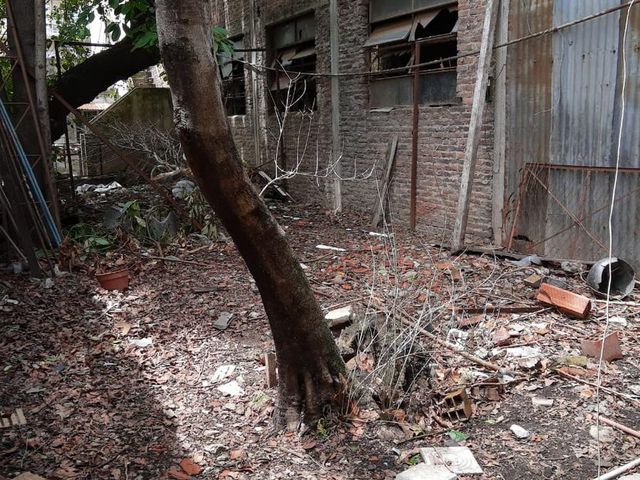 place photo 12