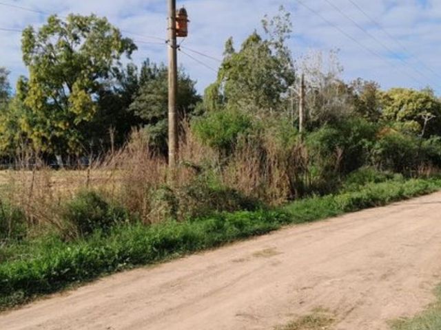 place photo 24