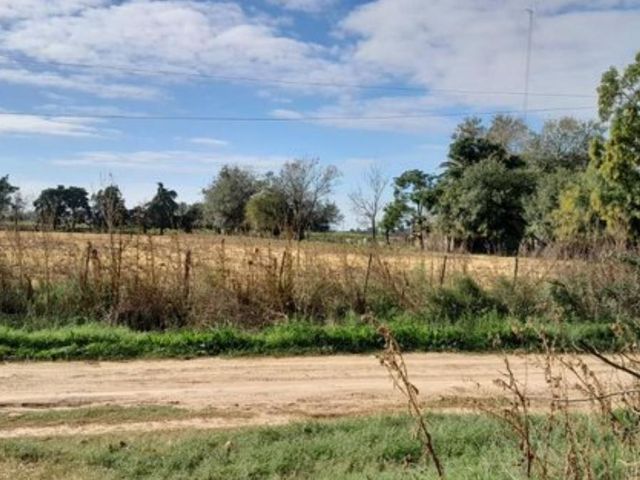 place photo 25