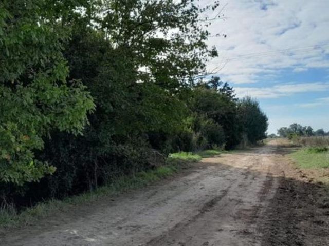 place photo 27