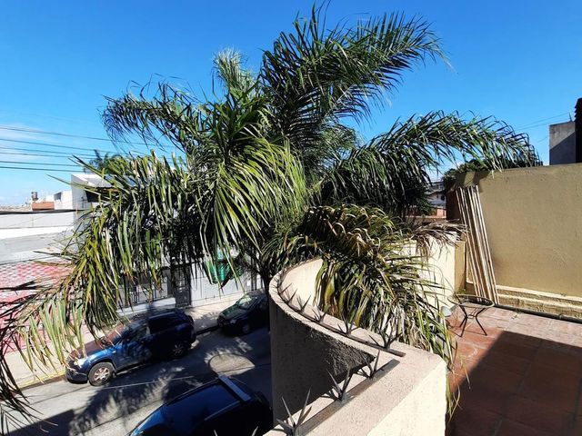 place photo 23