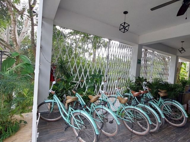 place photo 13
