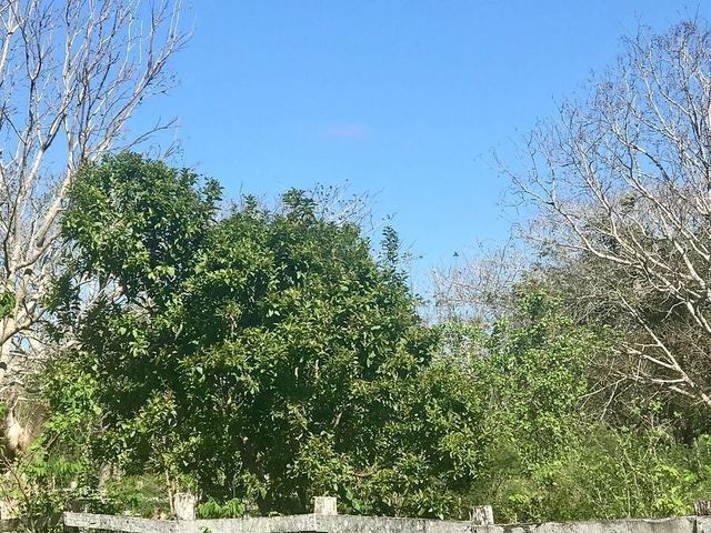 place photo 43