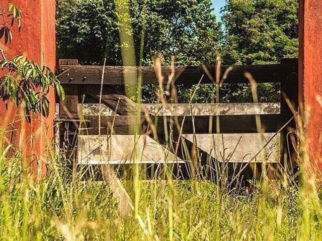 place photo 24