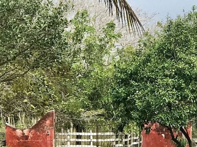 place photo 40
