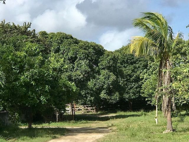 place photo 32