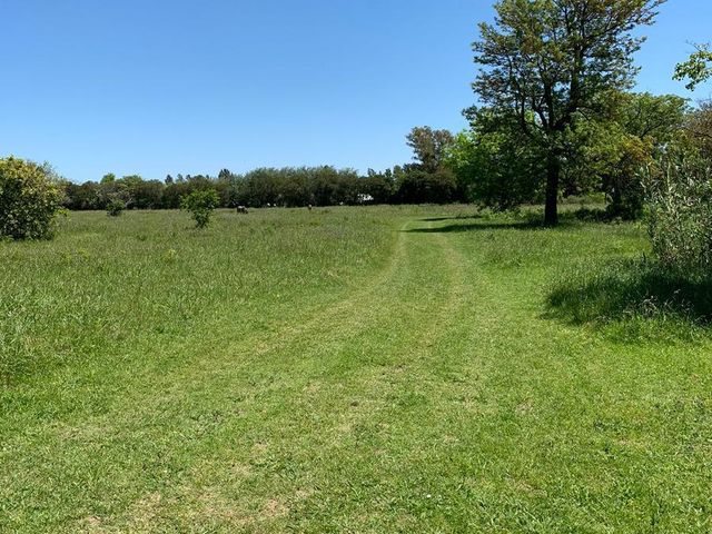 place photo 32