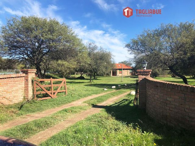 place photo 39