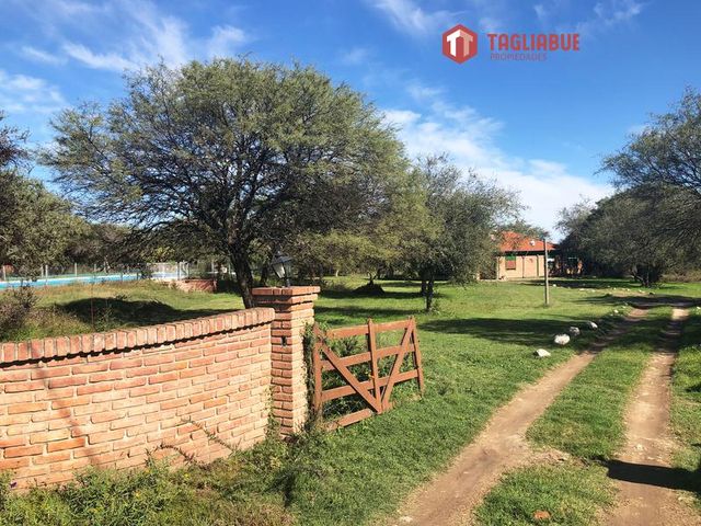 place photo 38