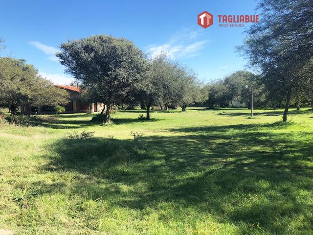 place photo 37