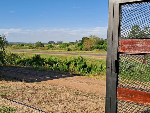 place photo 21
