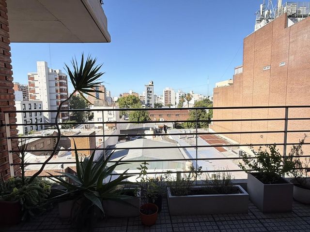 place photo 23