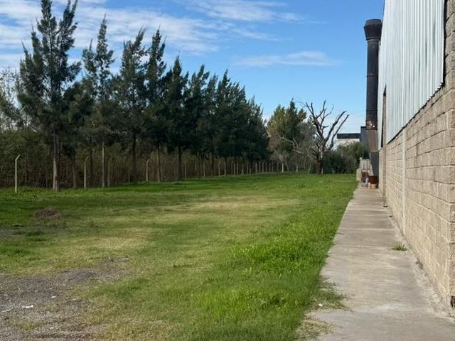 place photo 16