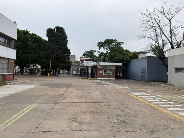 place photo 50