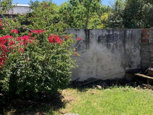 place photo 30