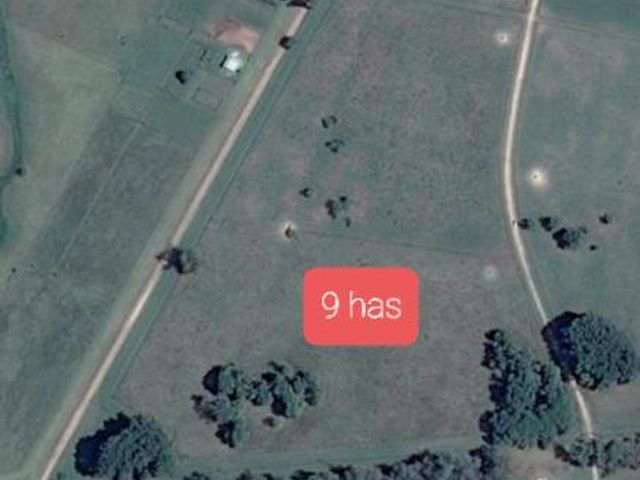 place photo 16