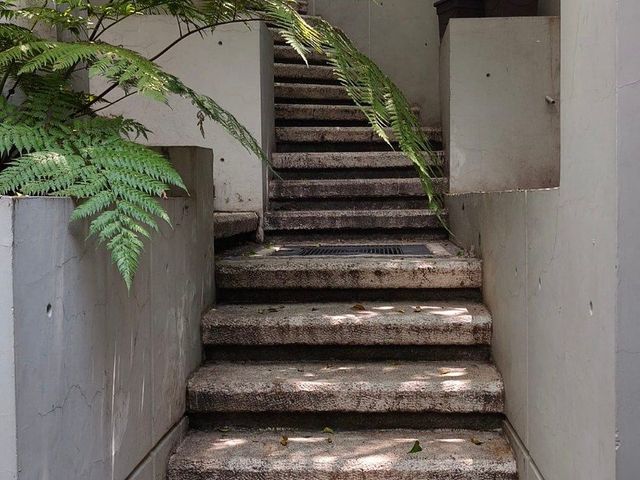 place photo 31