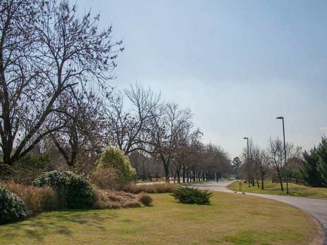 place photo 80
