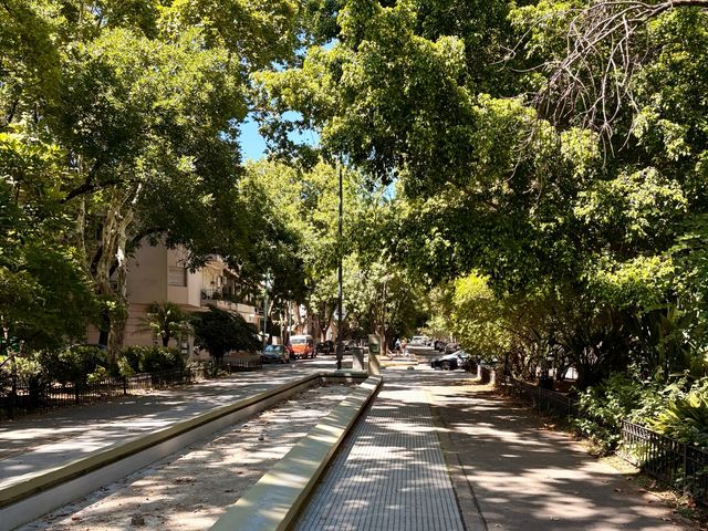 place photo 31