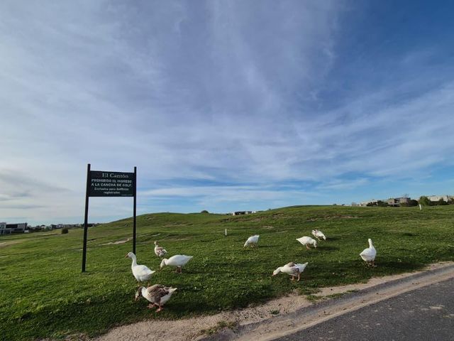place photo 61