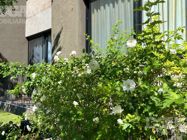 place photo 85