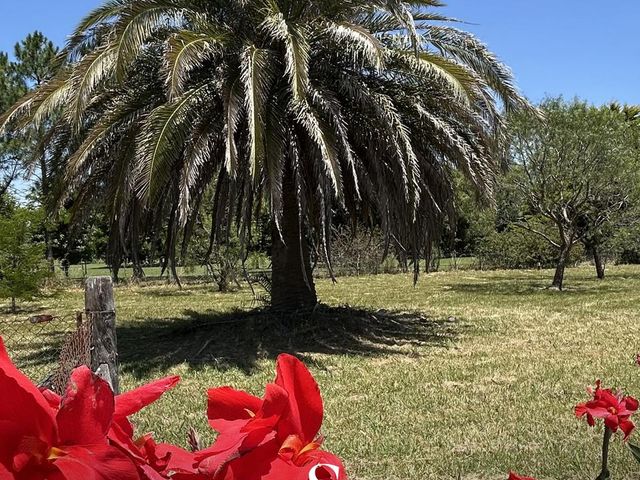 place photo 79