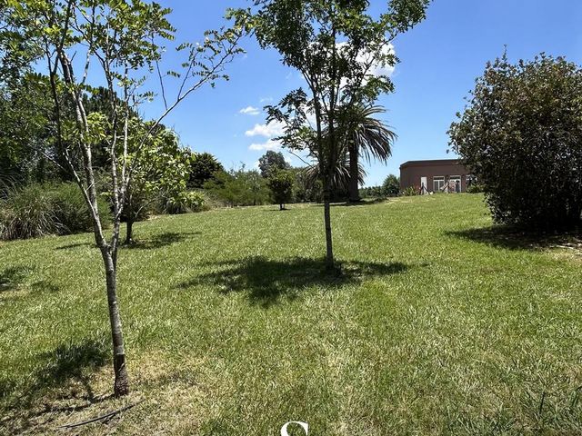 place photo 80