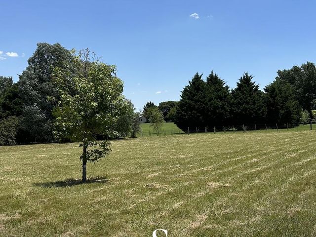 place photo 78