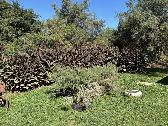place photo 34