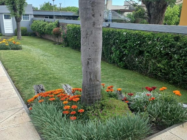 place photo 45