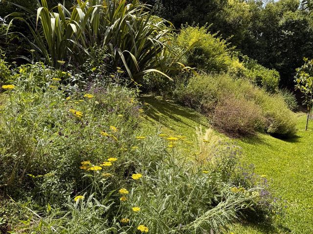 place photo 34