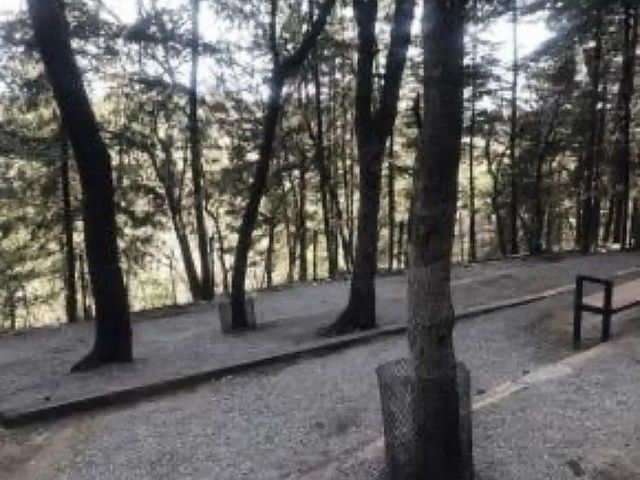 place photo 36