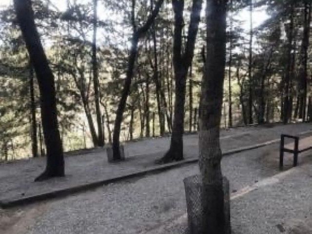 place photo 41