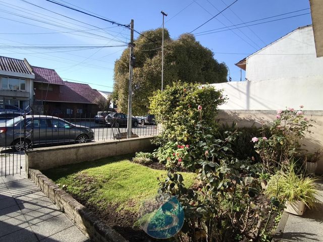 place photo 34
