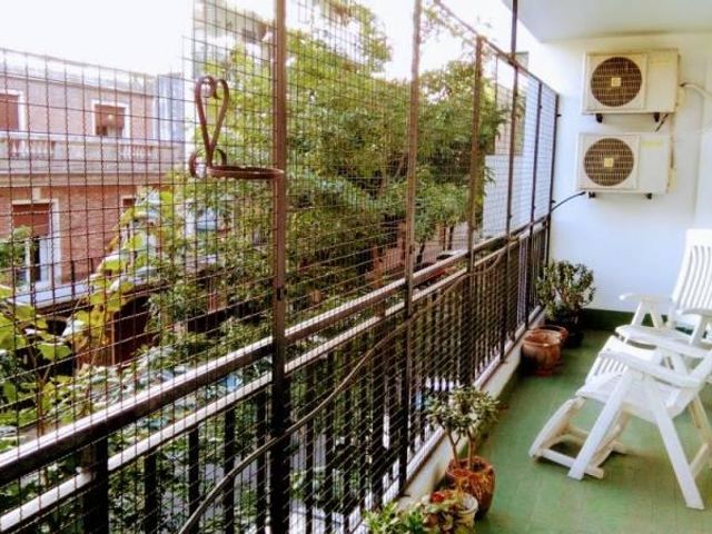place photo 36