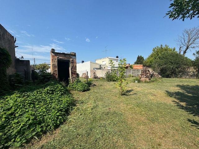 place photo 20