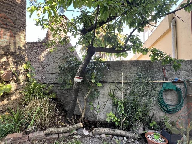 place photo 35